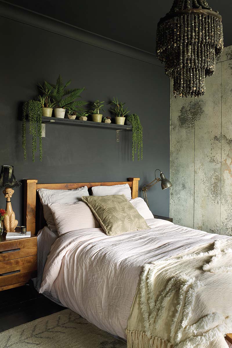 Dark wall bedroom with plants