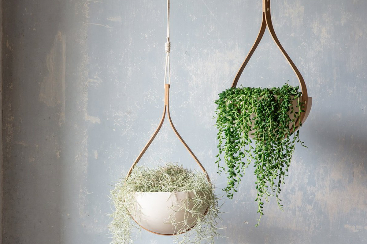 House plants How to bring the outside in These Three Rooms