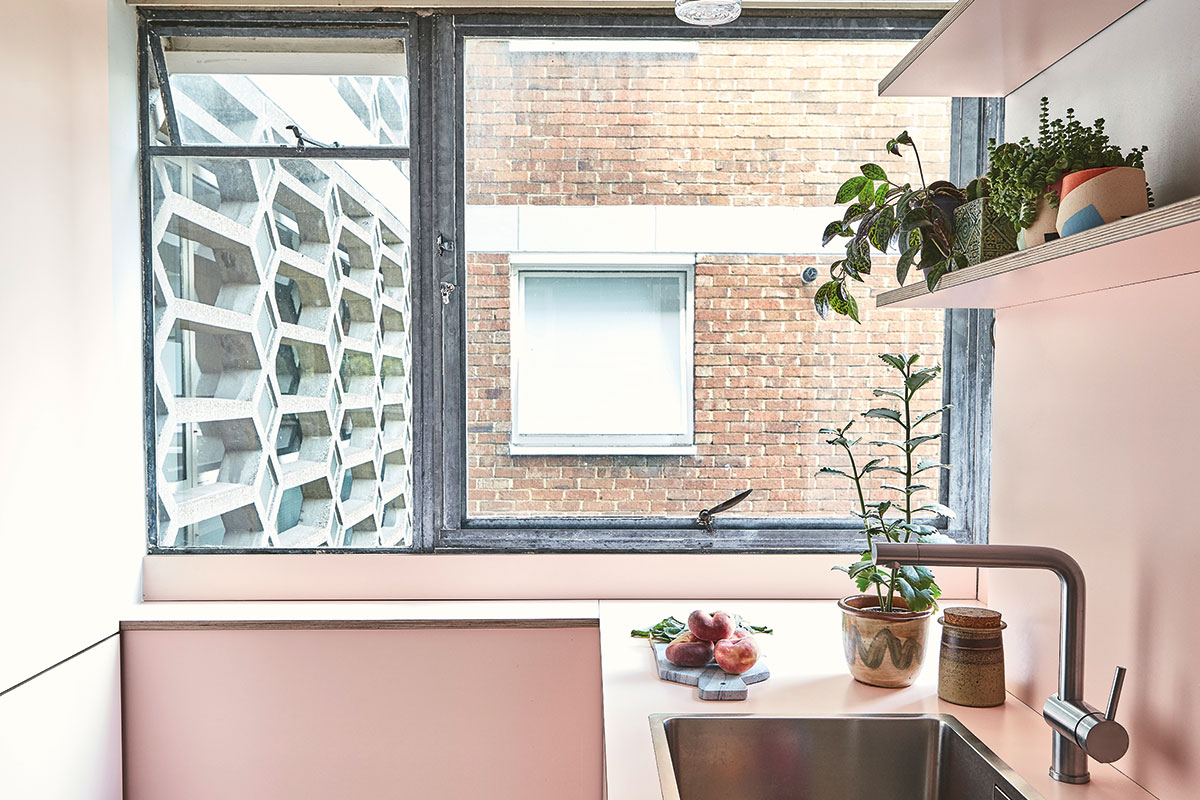 Pink Pluck kitchen