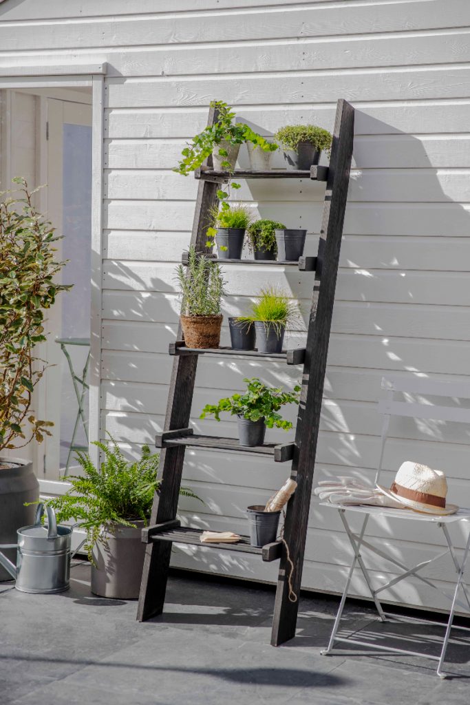 a kitchen herb garden on an outdoor ladder