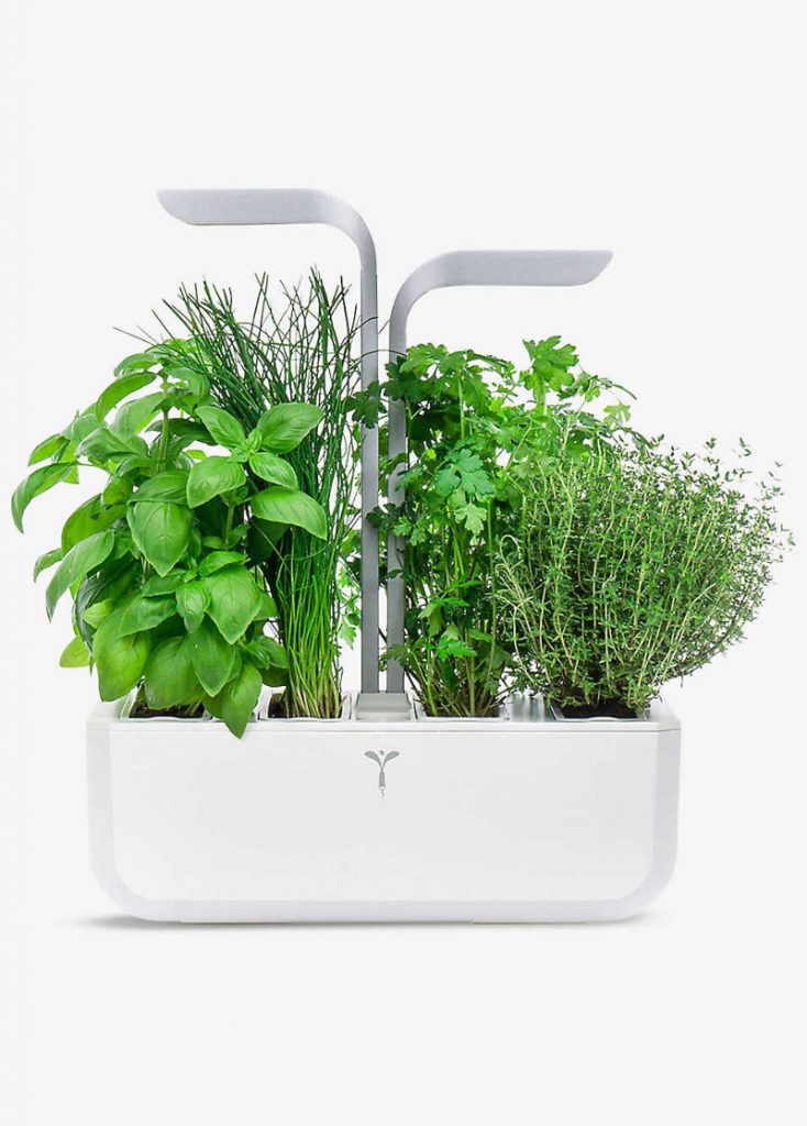 a white self watering pot featuring green plants