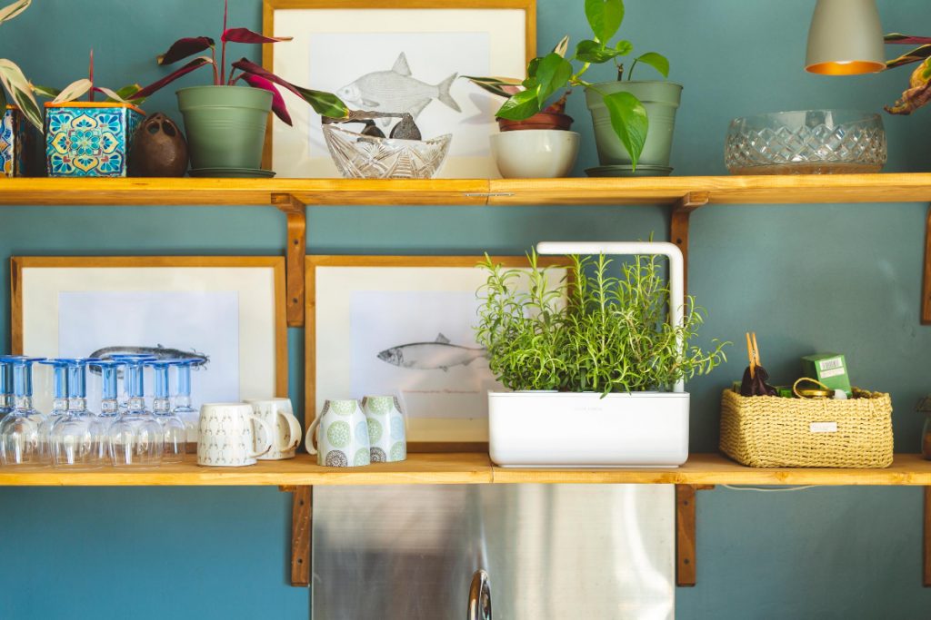 biodegradable pods for plants on wooden shelving