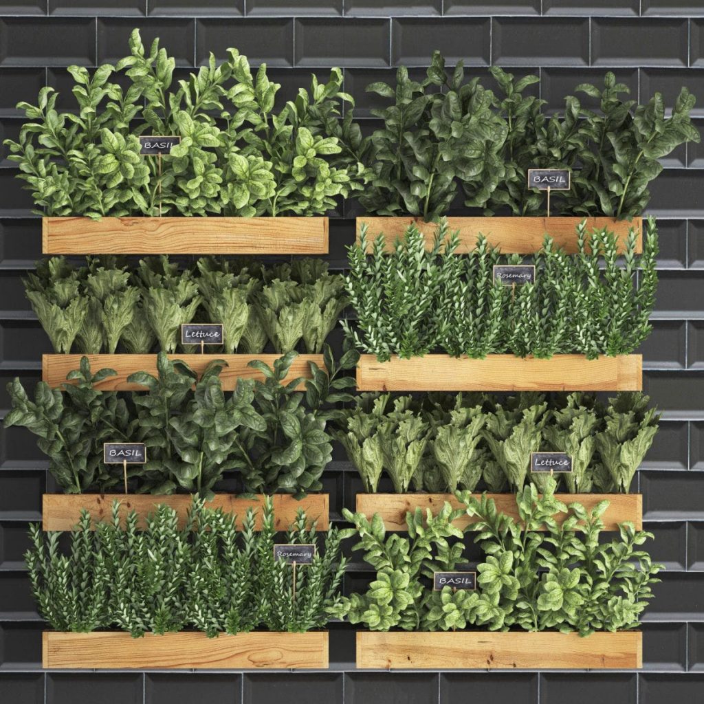 The Silestone institute multi functional plant room featuring a kitchen herb garden