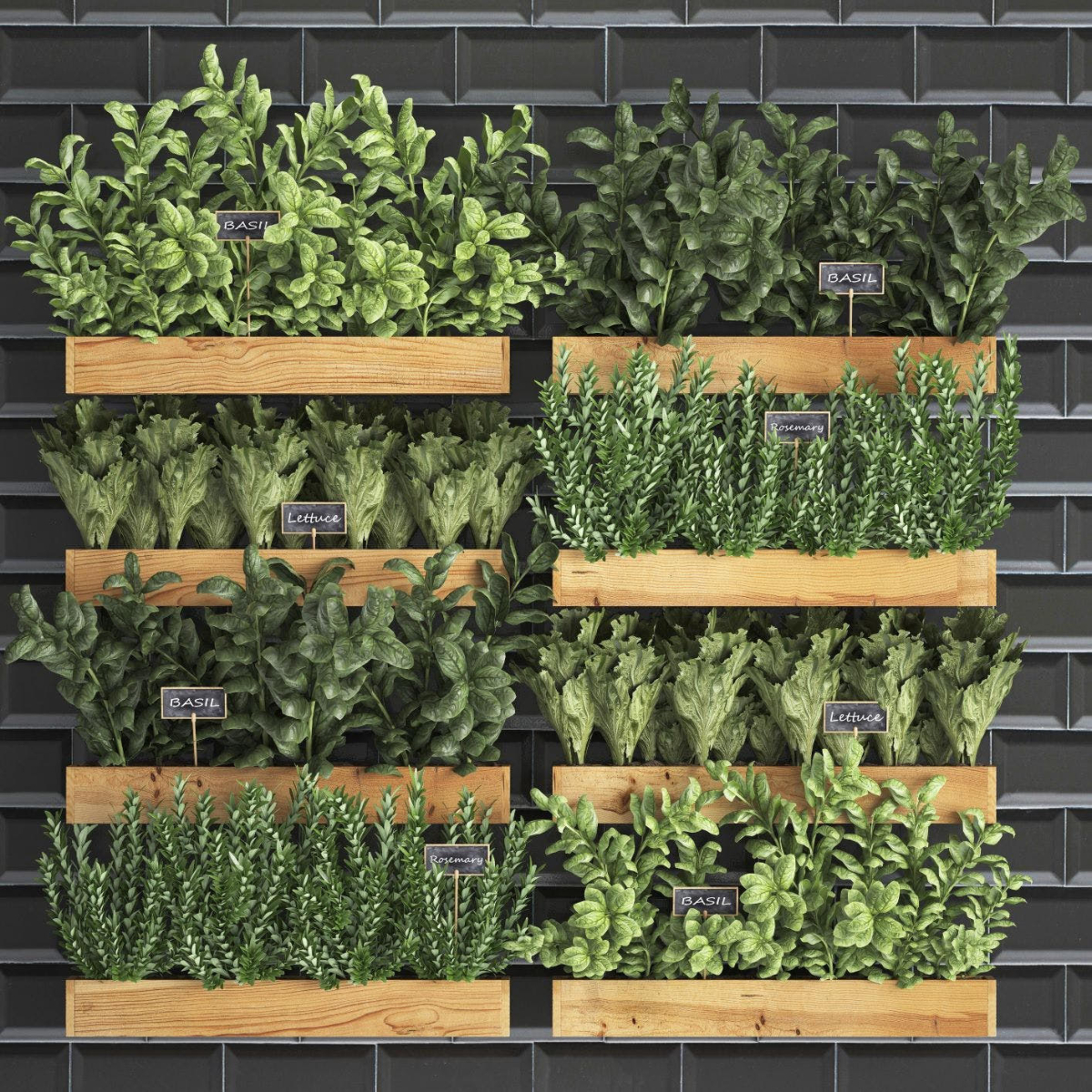 How to have a herb garden in your kitchen